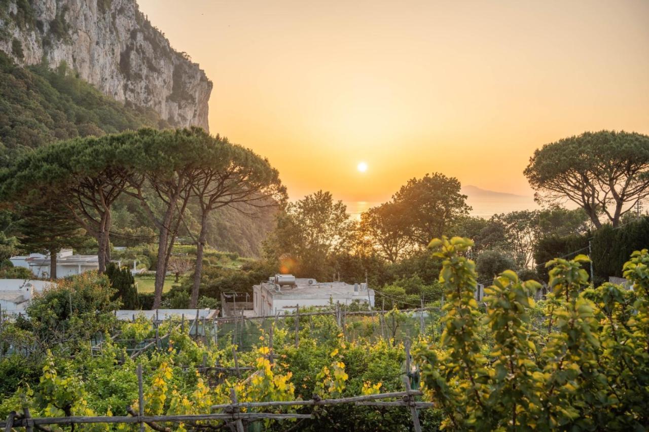 Apartamento Casa Vacanza La Scogliera Capri